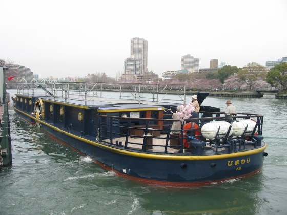 大川の桜