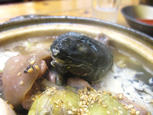 すっぽんらーめん太尊