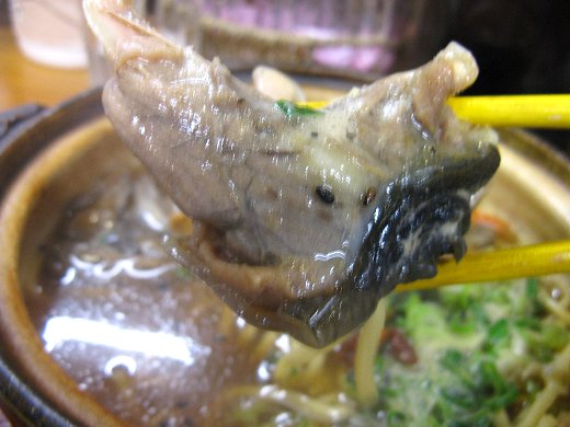 すっぽんらーめん太尊『参亀湯らーめん』
