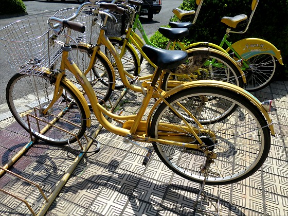 いちげん