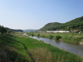 吳