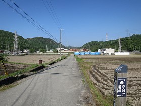 吳