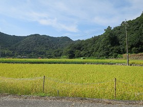 䏊[߂񂢂Ȃ