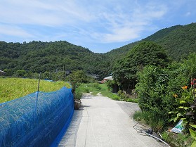 䏊[߂񂢂Ȃ