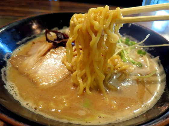鶏イザカヤ コヤ麺