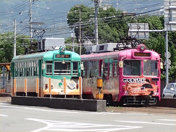 塩麺独歩相棒