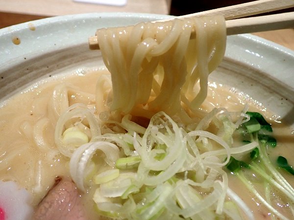 �ˉ�NOROMA���{�K�[�f���Y�X