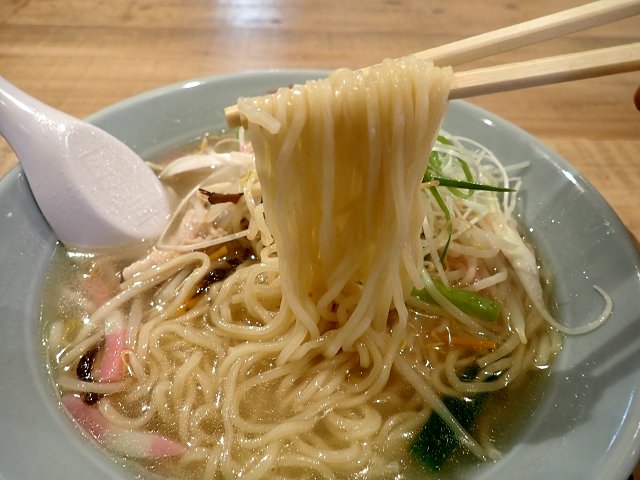 XgCN NOODLE STUDIO