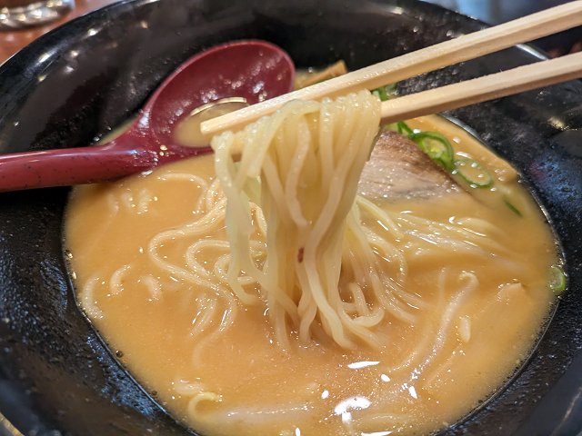 [̕˃\IX